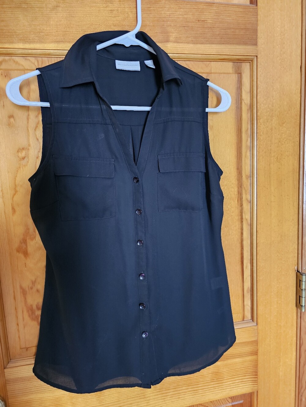 Sleeveless Button-Front Sheer Black Blouse